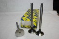 LOT DE 3 SOUPAPES D'ECHAPPEMENT FLOQUET MONOPOLE...RENAULT R5 R9 -...