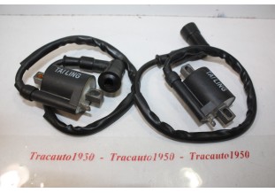 LOT DE 2 BOBINES D'ALLUMAGE TAILING...QUAD ATV DIRT BIKE BUGGY MOTO SCOOTER 50 à 250cm3