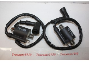 LOT DE 2 BOBINES D'ALLUMAGE TAILING...QUAD ATV DIRT BIKE BUGGY MOTO SCOOTER 50 à 250cm3