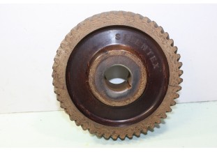 PIGNON DE DISTRIBUTION 48 Dents SILENTEX n°5101...CITROEN CAMIONS P32 P45 voir descriptif